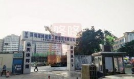 龙华大浪爆料最新消息今天,揭秘今日热点事件背后的真相